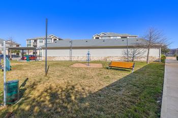 Paw park view
